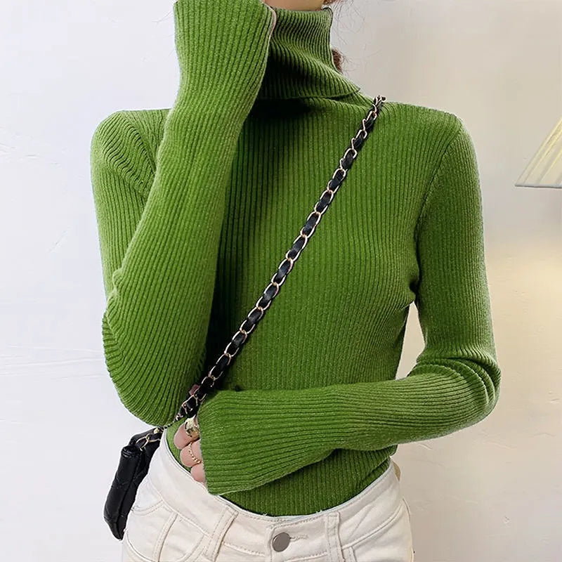 Sweater Elegant Pullover